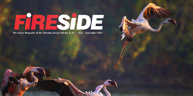 Fireside Vol.51, Issue 3 released